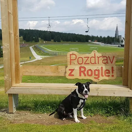 아파트 Rogla Apartma Kekec 즈코르녜즈레쎄
