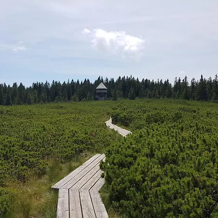아파트 Rogla Apartma Kekec