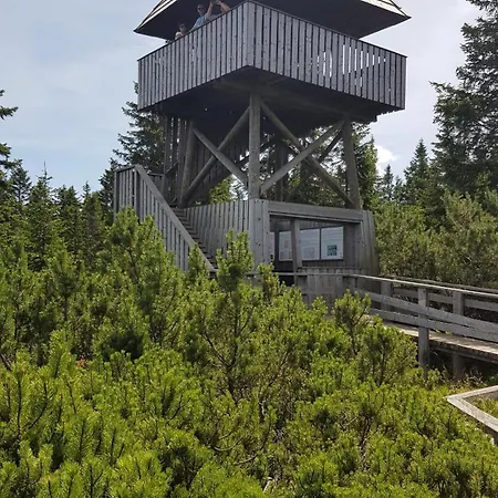 Rogla Apartma Kekec Zrece