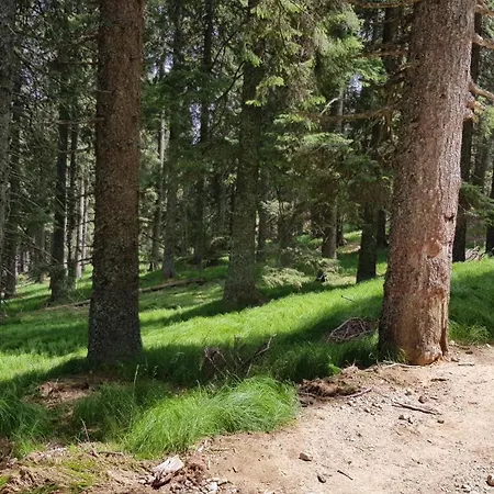 Apartman Rogla Apartma Kekec