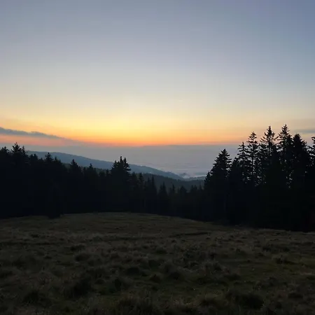 Rogla Apartma Kekec Apartman