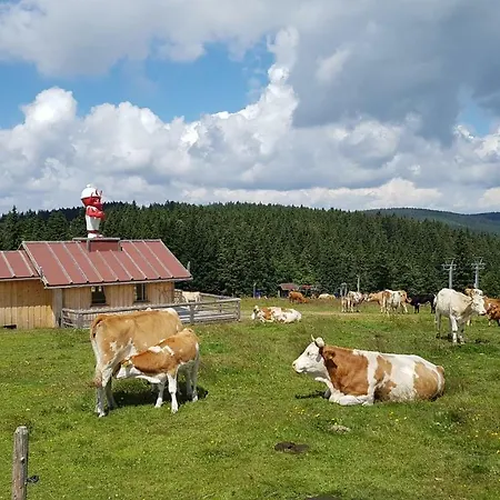 Lejlighed Rogla Apartma Kekec Zreče