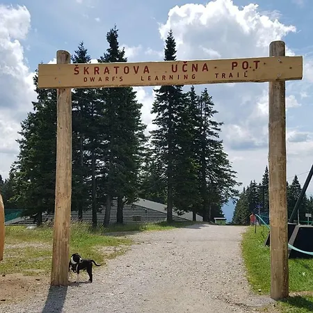 Rogla Apartma Kekec *