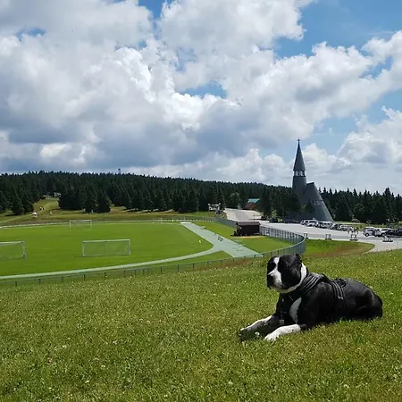 Rogla Apartma Kekec