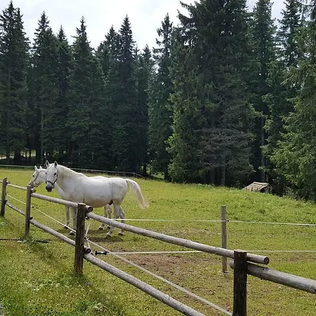 Apartman Rogla Apartma Kekec *