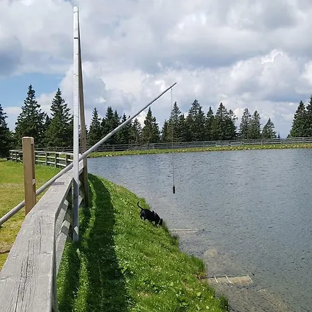 Rogla Apartma Kekec * Zrece