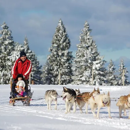 Apartamento Rogla Apartma Kekec *