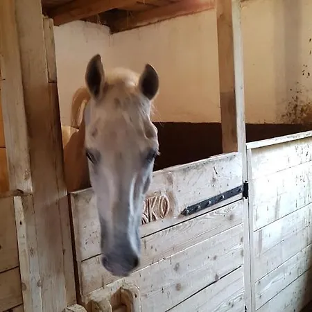 Rogla Apartma Kekec * Zrece