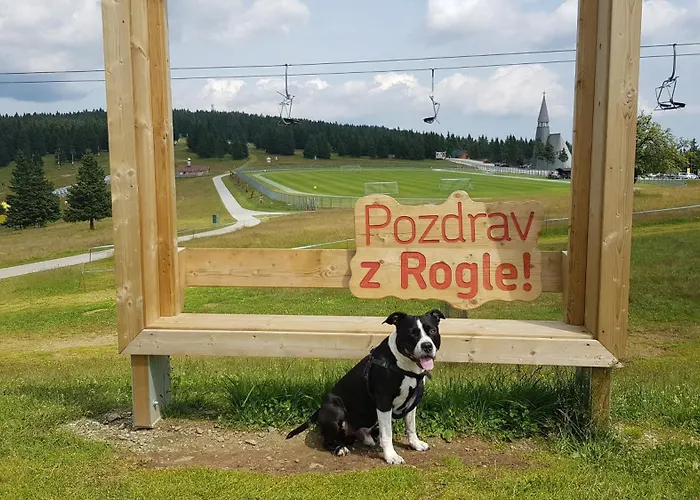 Lägenhet Rogla Apartma Kekec Zreče