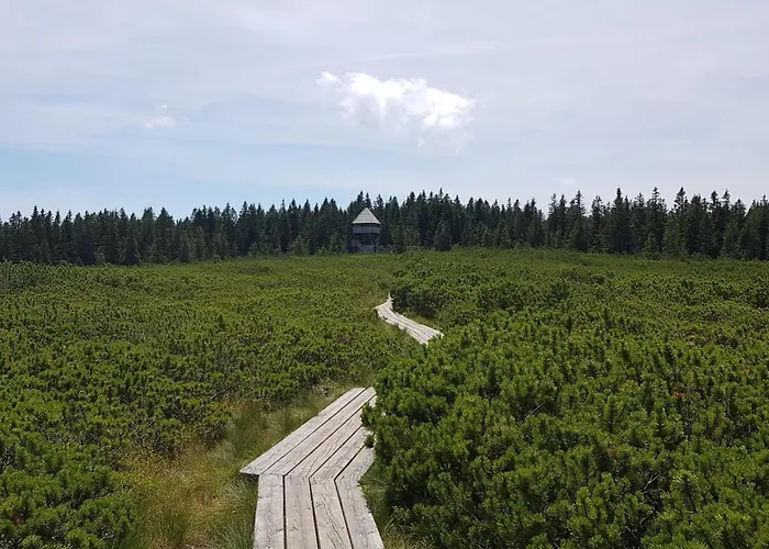 Lägenhet Rogla Apartma Kekec