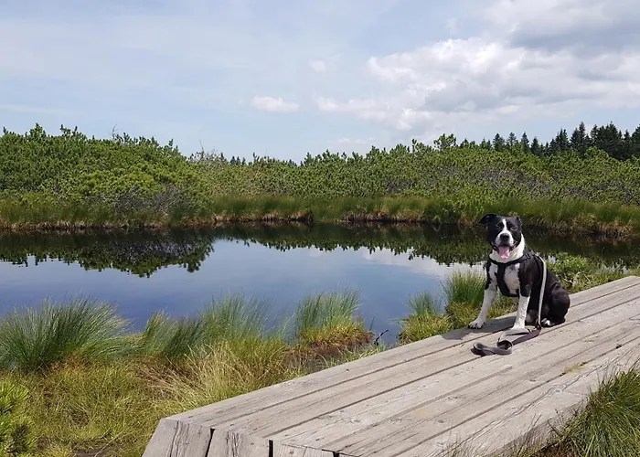 Rogla Apartma Kekec * Zreče