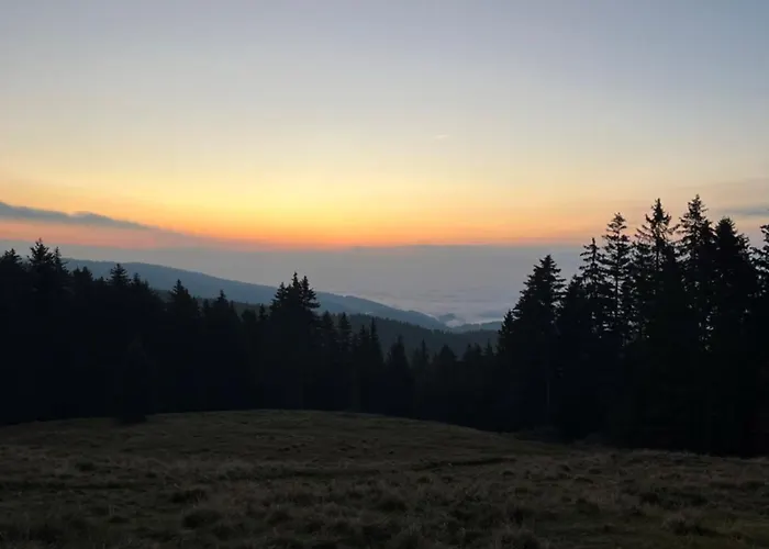 Rogla Apartma Kekec Lägenhet