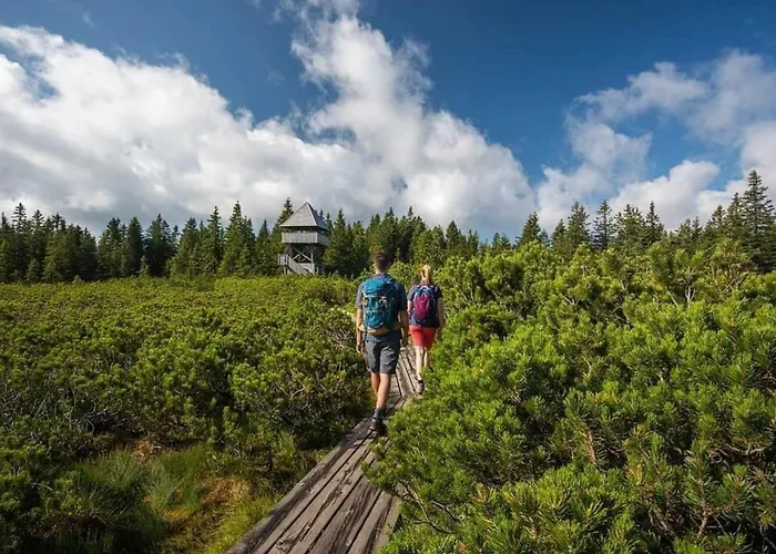 Rogla Apartma Kekec *