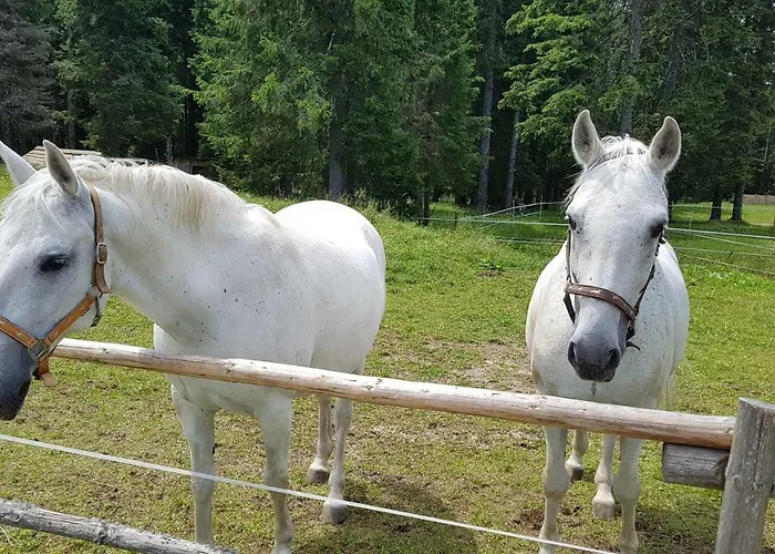 Rogla Apartma Kekec Zreče