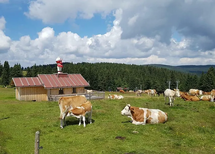 Lägenhet Rogla Apartma Kekec Zreče