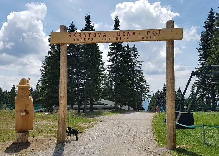 Rogla Apartma Kekec *