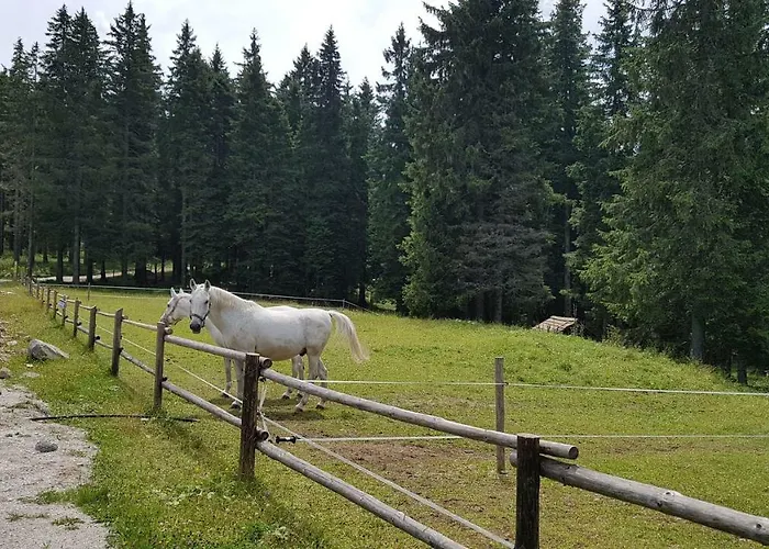 Lägenhet Rogla Apartma Kekec *
