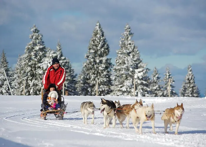 Lägenhet Rogla Apartma Kekec *